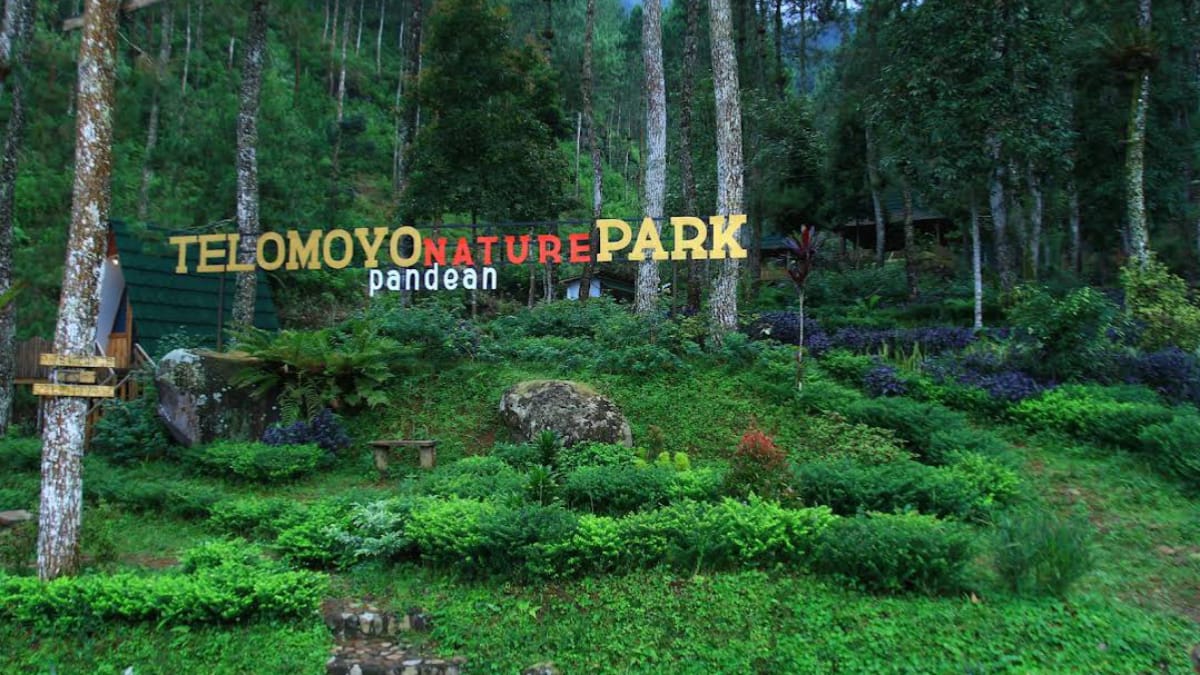 Telomoyo Nature Park: Pesona Alam Jawa Tengah yang Memikat